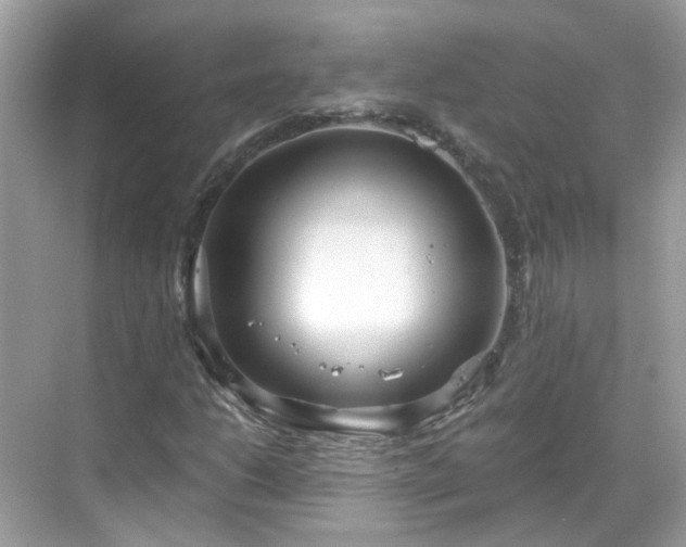 X0000068731206200605051450