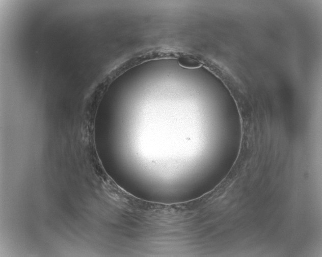 X0000068731207200605051450