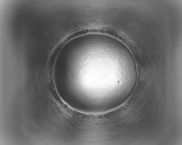 X0000068731208200605051450