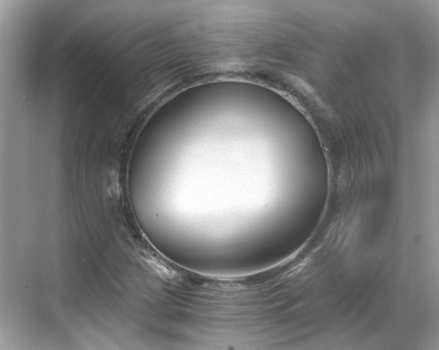 X0000068731209200605051450