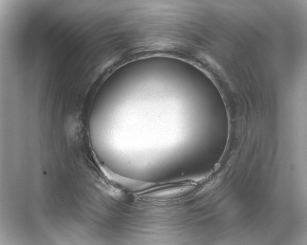 X0000068731210200605051450