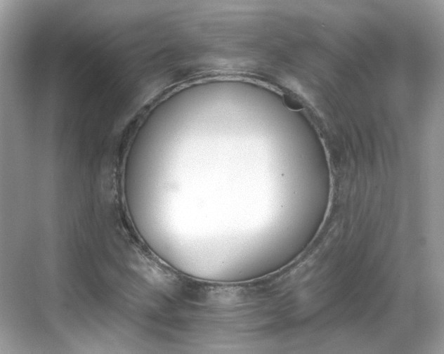 X0000068731211200605051450