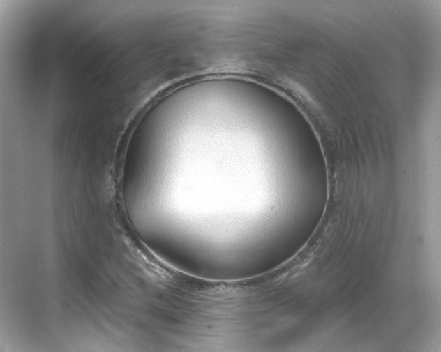 X0000068731212200605051450