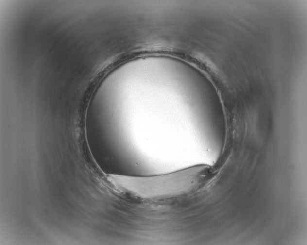 X0000068731213200605051450