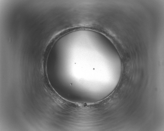 X0000068731214200605051450