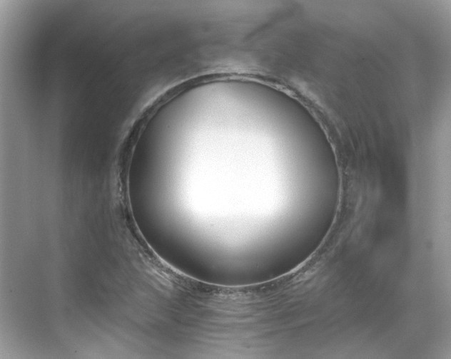 X0000068731215200605051450