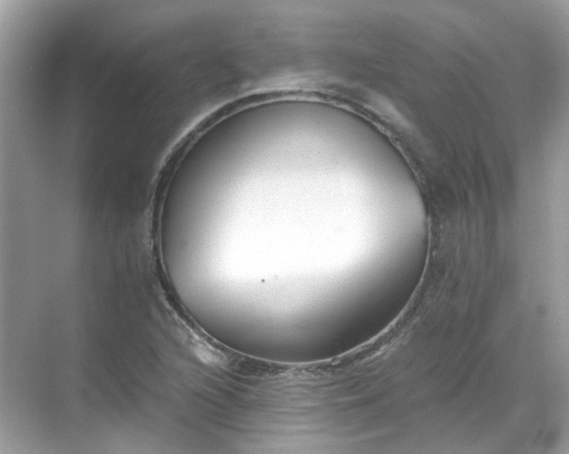 X0000068731216200605051450