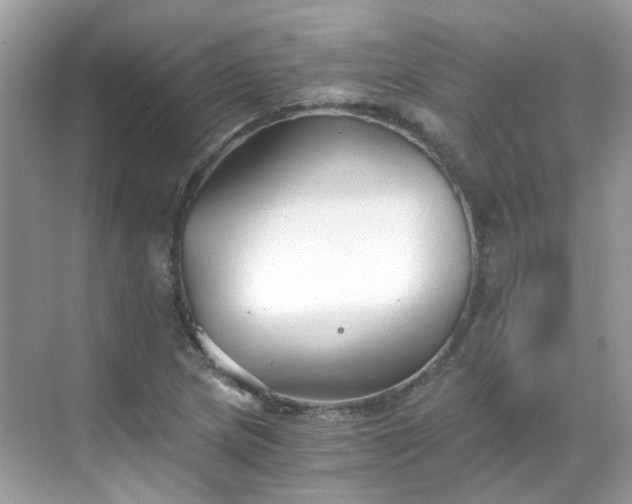 X0000068731217200605051450