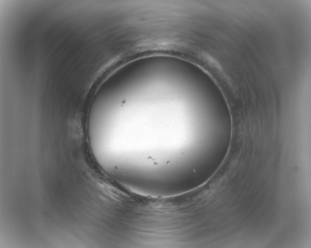 X0000068731218200605051450