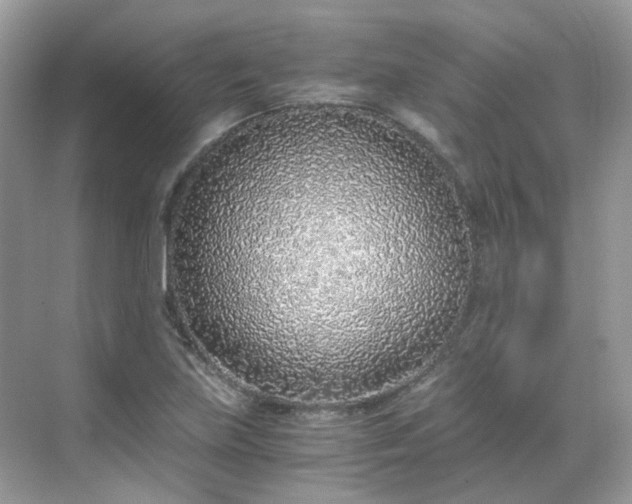 X0000068731219200605051450