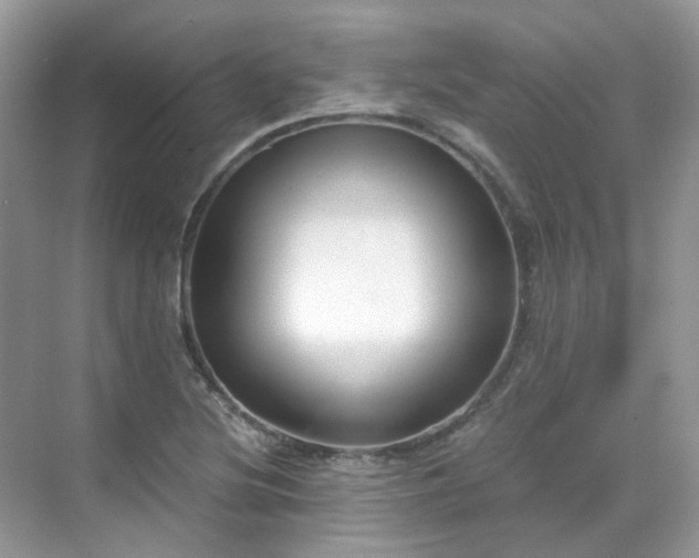 X0000068731220200605051450