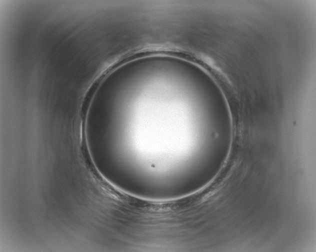 X0000068731221200605051450