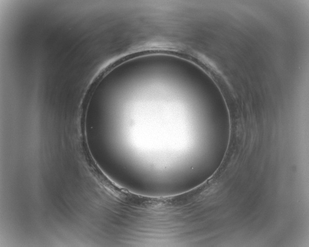 X0000068731222200605051450