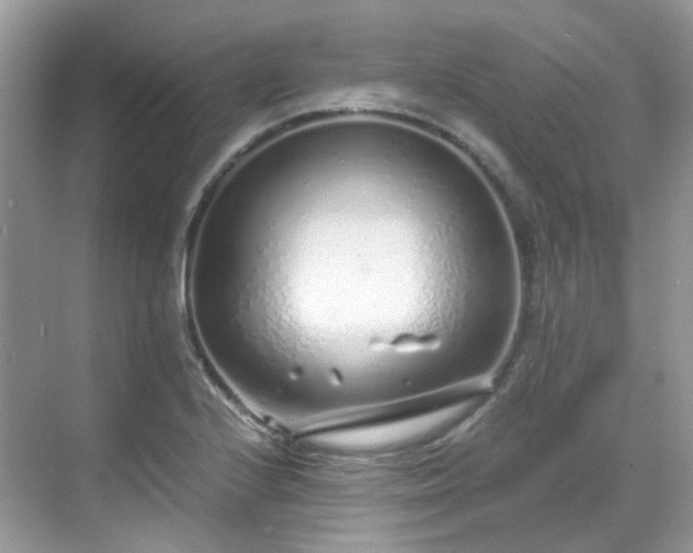 X0000068731224200605051450