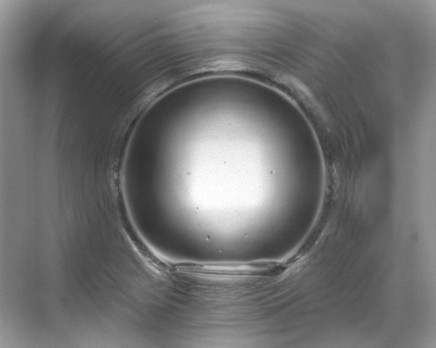 X0000068731225200605051450