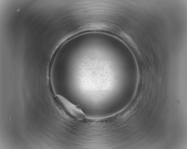 X0000068731226200605051450