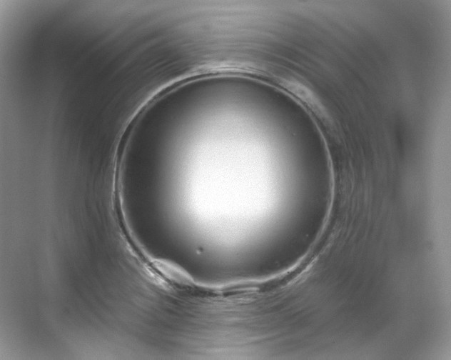 X0000068731228200605051450