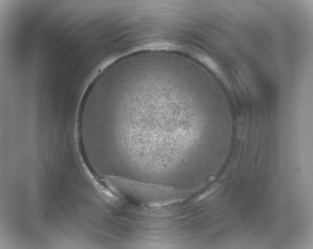 X0000068731229200605051450