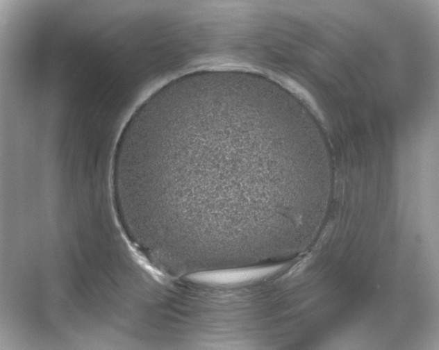 X0000068731231200605051450