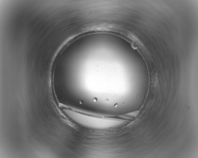 X0000068731232200605051450