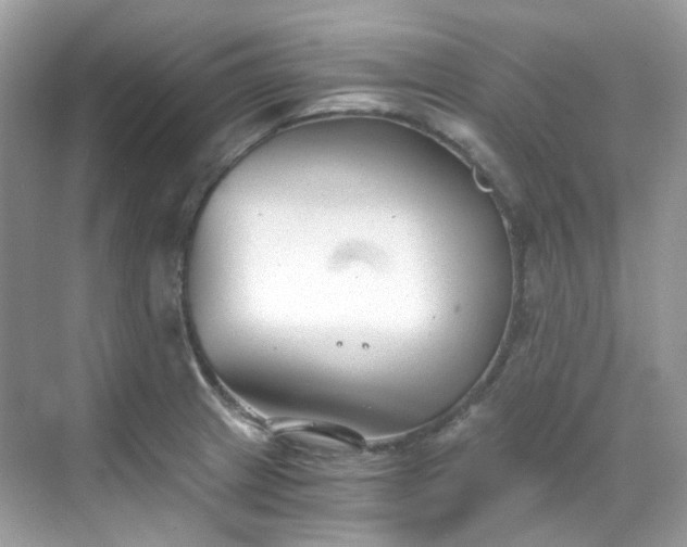 X0000068731233200605051450