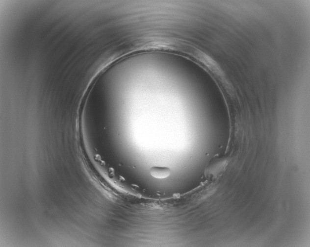 X0000068731234200605051450