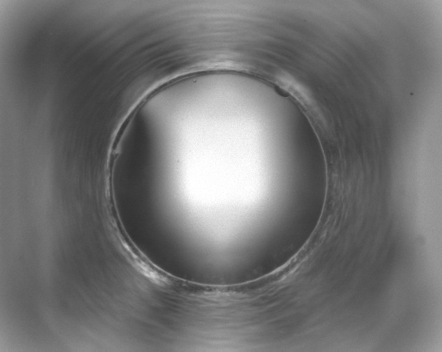 X0000068731236200605051450