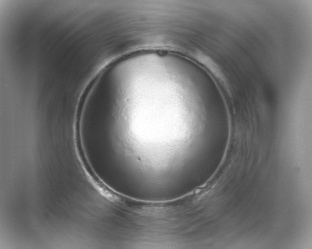 X0000068731237200605051450