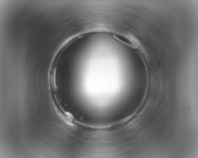 X0000068731238200605051450