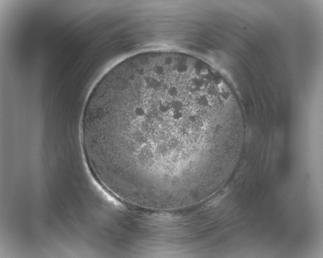 X0000068731239200605051450