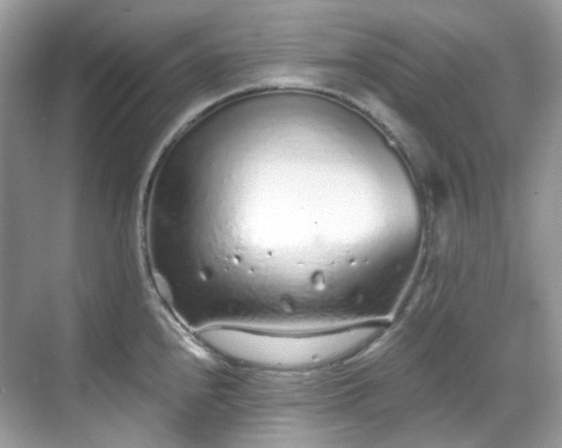 X0000068731240200605051451