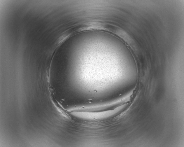 X0000068731241200605051451