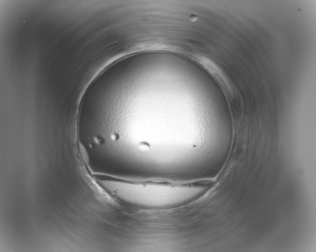 X0000068731244200605051451