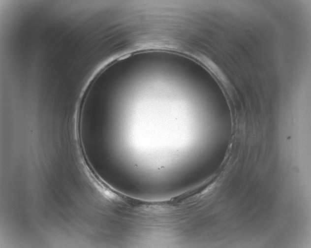 X0000068731246200605051451