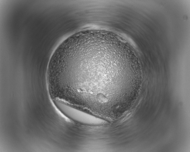 X0000068731247200605051451