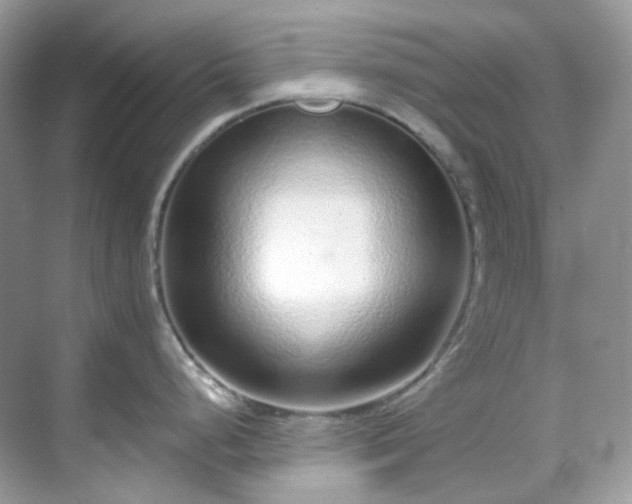 X0000068731248200605051451