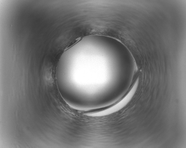 X0000068731250200605051450