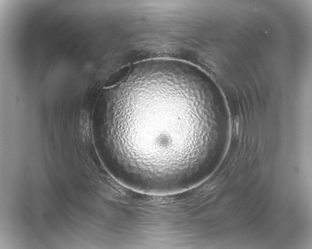 X0000068731251200605051450