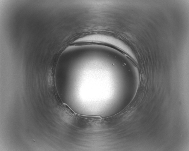 X0000068731252200605051450