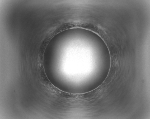 X0000068731253200605051450