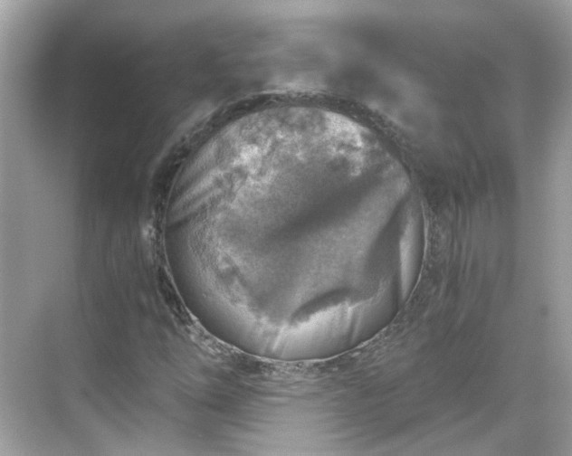 X0000068731254200605051450