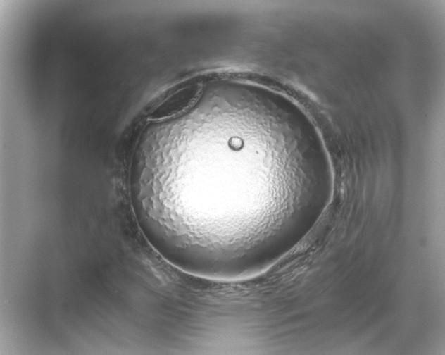 X0000068731255200605051450