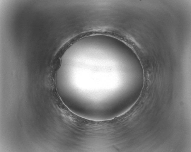 X0000068731256200605051450