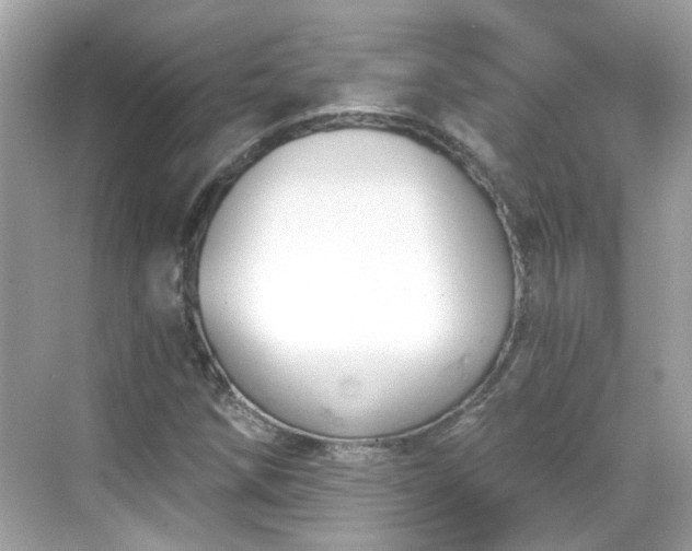 X0000068731258200605051450