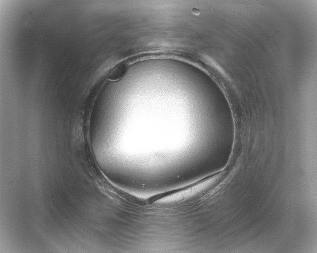 X0000068731259200605051450