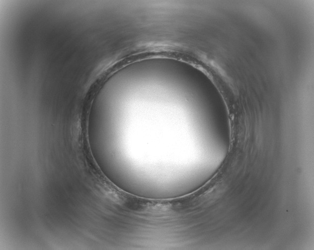 X0000068731261200605051450