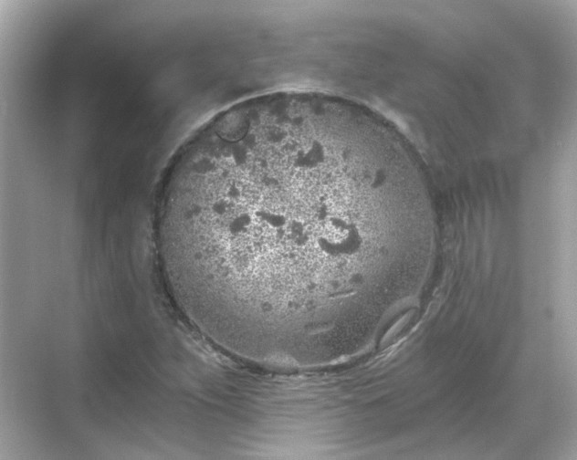 X0000068731263200605051450