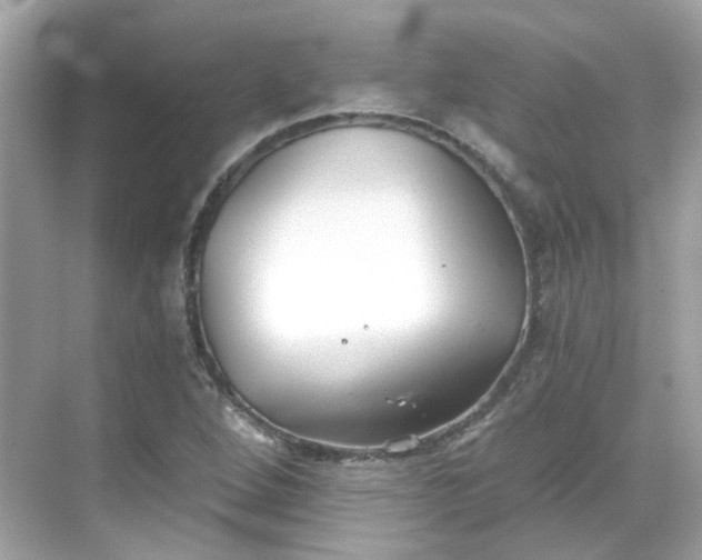 X0000068731264200605051450