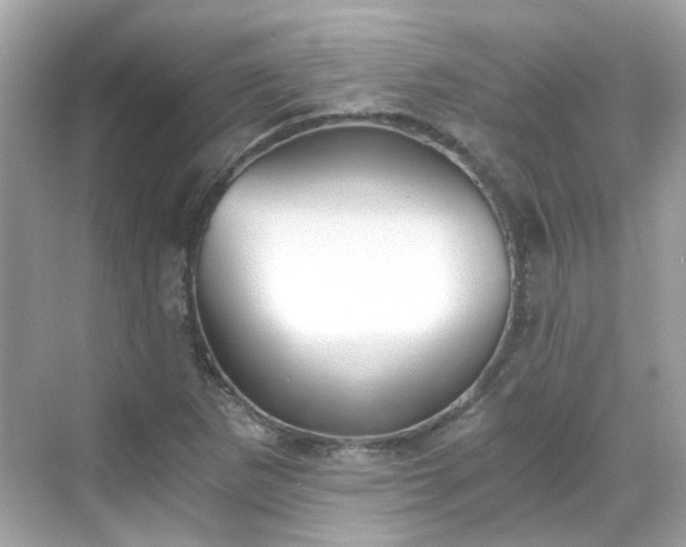 X0000068731265200605051450