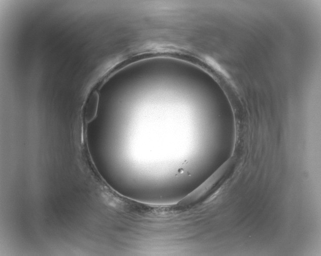 X0000068731269200605051450